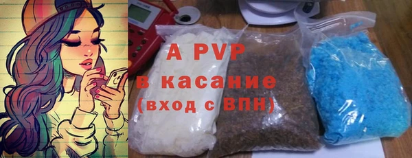 ПСИЛОЦИБИНОВЫЕ ГРИБЫ Абаза