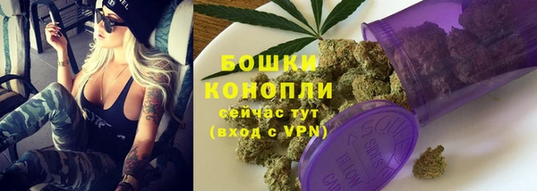 ПСИЛОЦИБИНОВЫЕ ГРИБЫ Абаза