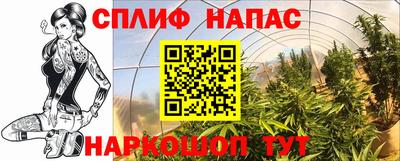 твердый Краснознаменск