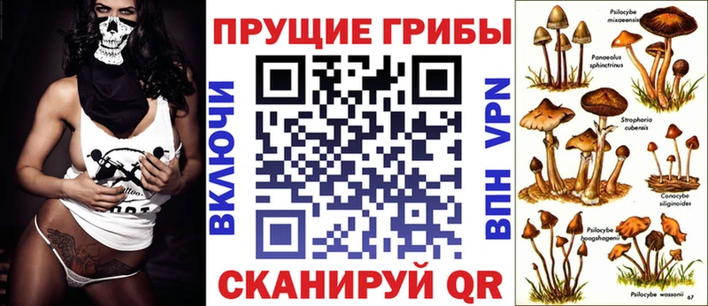 хочу   Кашира  Галлюциногенные грибы Psilocybe 