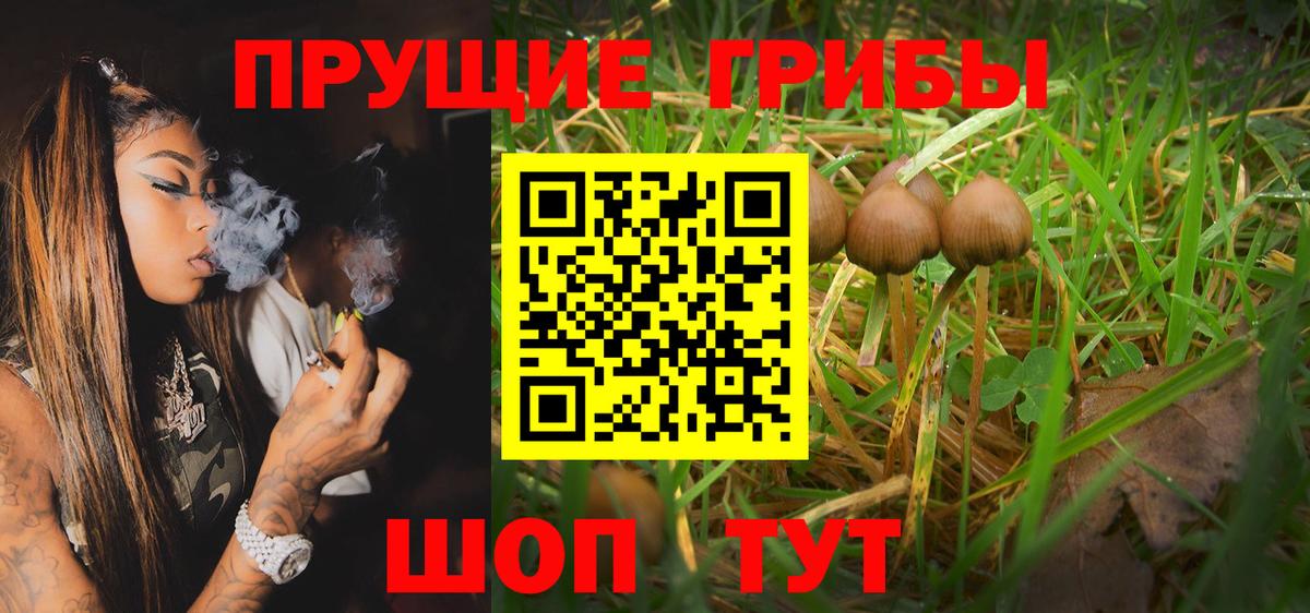 Галлюциногенные грибы GOLDEN TEACHER Кашира
